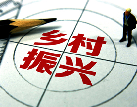 乡村振兴 - 回家乡也能年赚十万的潜力项目